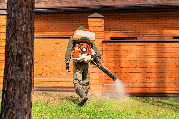 Trusted Ant Control service in Beachwood, OH - Nex Pest Control